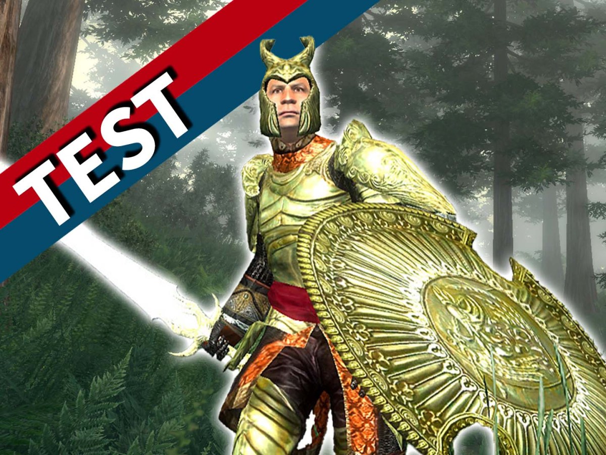 Ein Bild vom Wald aus Oblivion mit rot-blauem Banner.