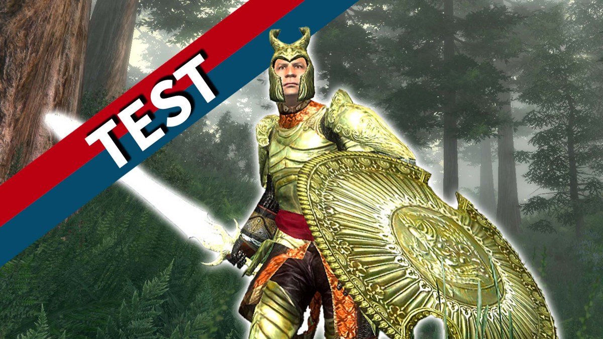 Ein Bild vom Wald aus Oblivion mit rot-blauem Banner.