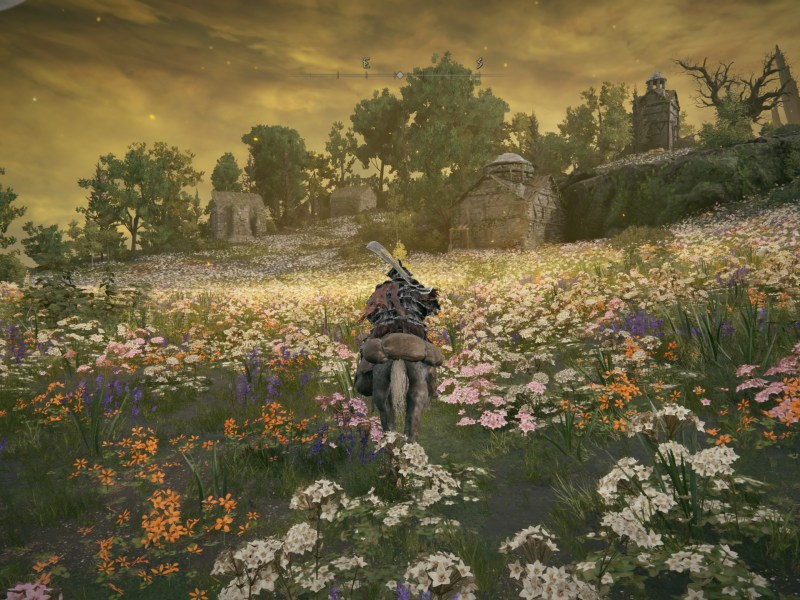 Elden Ring DLC Blumenwiese