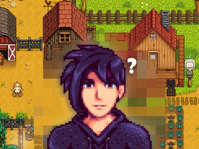 Charakter Sebastian aus Stardew Valley mit einem Fragezeichen.