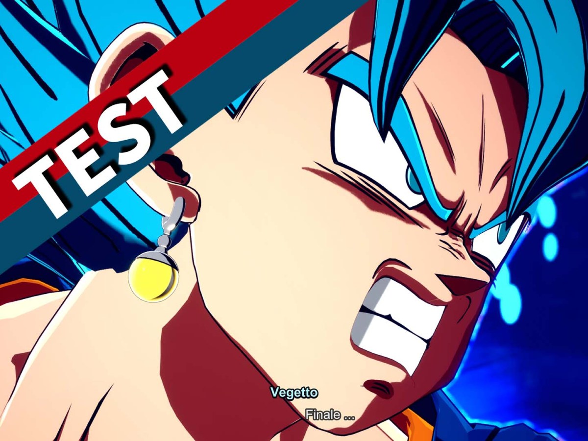 Vegetto aus Dragon Ball samt rot-blauem Testbanner.