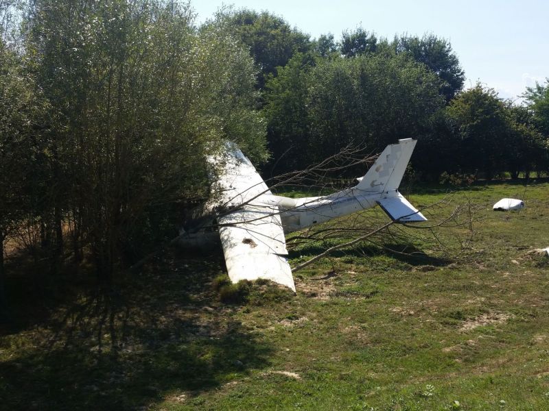 Flugzeug im Baum