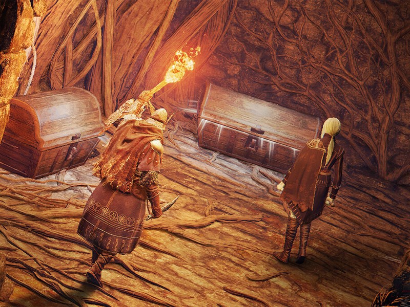 Ein Screenshot aus Elden Ring: Nightreign.