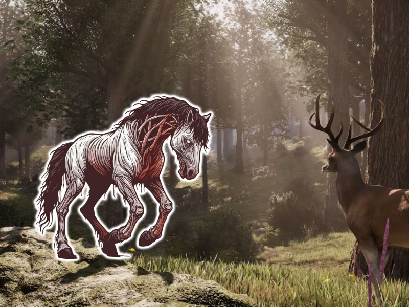 Geisterpferd im Oblivion-Remaster? Fans stehen vor einem Rätsel