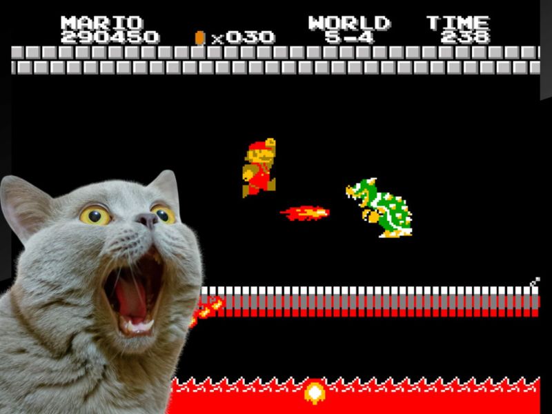 Screenshot aus Super Mario Bros. mit begeisterter Katze