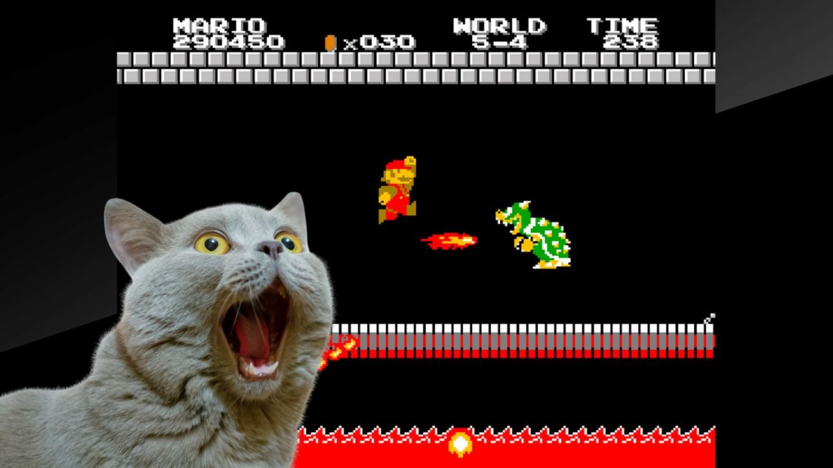 Screenshot aus Super Mario Bros. mit begeisterter Katze