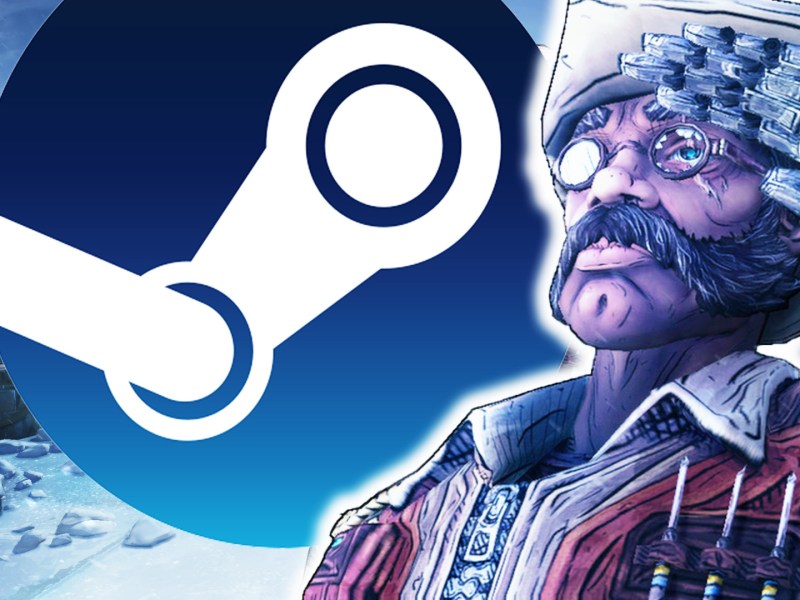 Screenshot aus Borderlands 2. Im Vordergrund ist ein Charakter deutlich zu sehen. Dazu das Logo von Steam.
