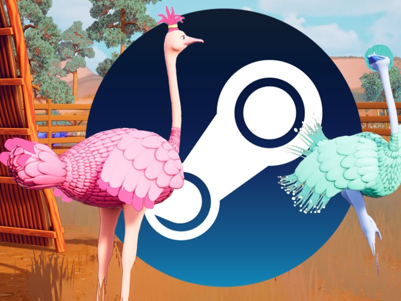 Zwei Strauße und das Steam-Logo.